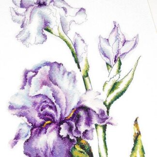 Набір для вишивання хрестиком B2251 Ирисы (B2251)