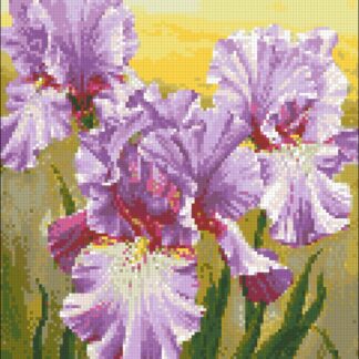 Набір алмазної мозаїки 30х40 Іриси АМС-125