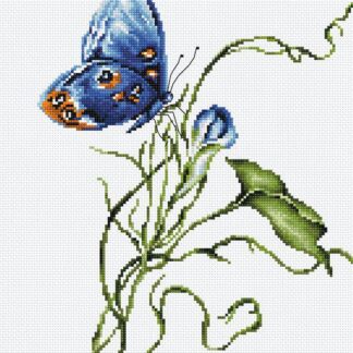 Набір для вишивання хрестиком B2242 Емоція (9260451)