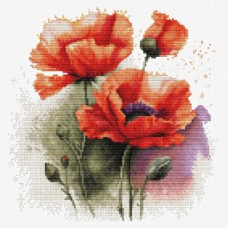 Набір для вишивання хрестиком Квіти Маки (B7024)