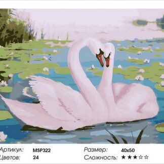 Набір для малювання за номерами 40х50 Пара лебедів MSP322 з підрамником