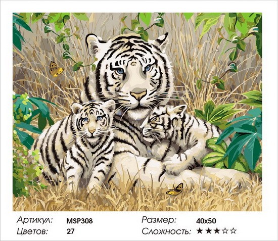Набір малювання по номерах 40х50 Білі тигри MSP308 з підрамником