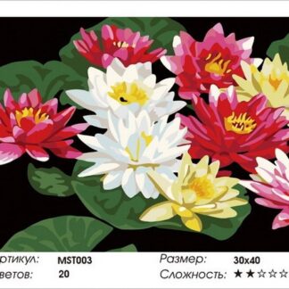 Набір для малювання за номерами 30х40 Водяна лілія MST003 з підрамником