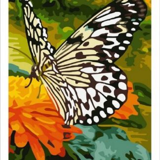 Набір для малювання за номерами 40х50 Метелик MST006 з підрамником