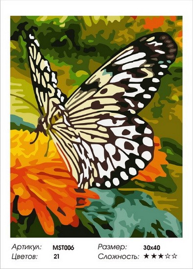 Набір для малювання за номерами 40х50 Метелик MST006 з підрамником