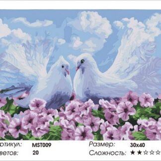 Набір для малювання за номерами 30х40 Пара голубів MST009 з підрамником