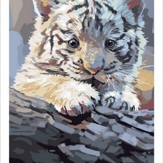 Набір для малювання за номерами 30х40 Біле тигреня MST007 з підрамником