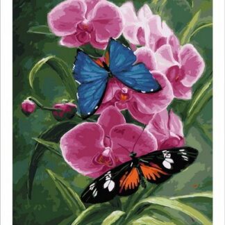 Набір для малювання по номерах 30х40 Метелики на орхідеях MST012 з підрамником