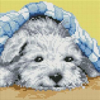 Набір алмазної мозаїки 20х30 Собачка DT701