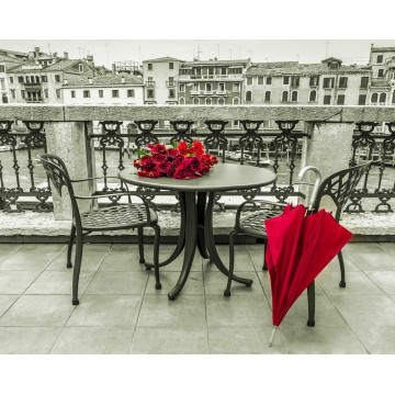 Алмазна мозаїка 40х50 Романтичний етюд SP001