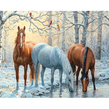 Набір для рукоділля 40х50 Коні біля ставка SP005