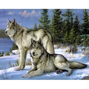 Набір алмазної мозаїки 40х50 Вовки на снігу SP007