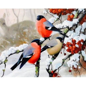 Набір алмазної мозаїки 40х50 Снігурі SP035