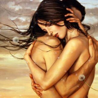 Набір алмазної мозаїки 40х50 Обійми SP045