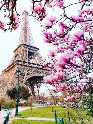 Набір алмазної мозаїки 40х50 Ейфелева вежа у квітах SP074