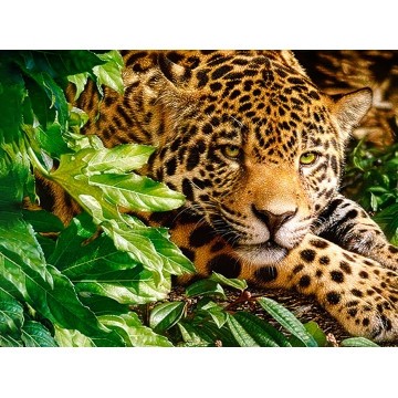 Алмазна вишивка 30х40см Ягуар ST436