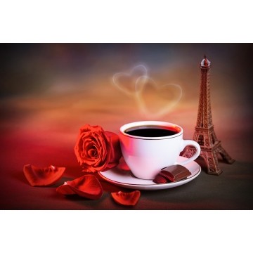 Набір алмазної вишивки 20х30 Кава з розою DT709