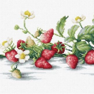 Набір для вишивання хрестиком B2266 Етюд із суницею (B2266)