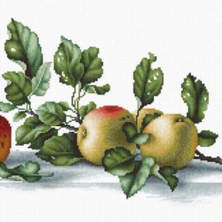 Набір для вишивання хрестиком B2265 Яблука (B2265)
