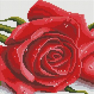 Набір для алмазної мозаїки 20х30 Троянди DT703