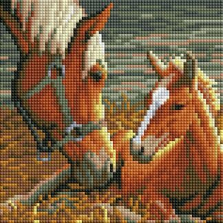 Набір для алмазної мозаїки Коні 20х30 DT707