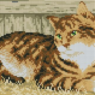 Набір для алмазної мозаїки Котик DT704