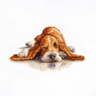 Набір для вишивання хрестиком Бассет (B2341)