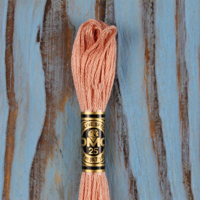 Муліне для вишивання DMC 3779